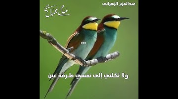 اذكار الصباح عبدالعزيز الزهراني يا حي يا قيوم