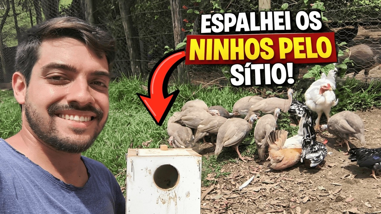 EU ABRI A PORTA… 😱 Soltei as Angolas e Transformei o Sítio em Refúgio de Pássaros