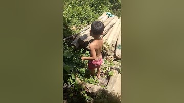 VQĐ - Trở về tuổi thơ - bắt chuồn chuồn đi câu cá 🎣  😂😂😂