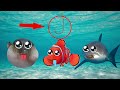 Oceanic Durr Emoji | Funny Fish Animation