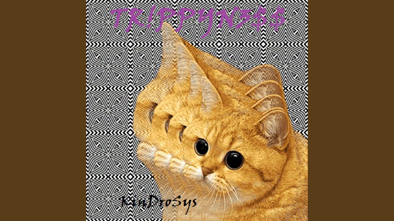 The Struggle Is Real