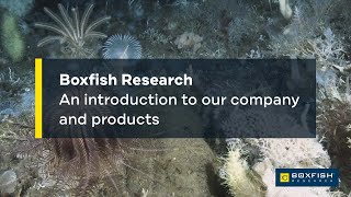 Boxfish Research - Get to Know Us! @BoxfishRobotics
