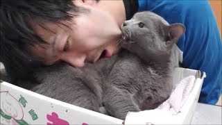 大食いおじさんによる、わたあめ大食いチャレンジ