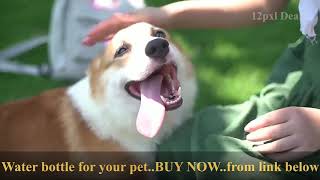 Best Amazing Cool Dog and Cats Products Available in pet store On Amazon India screenshot 2