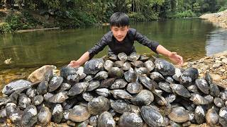 Nam went to the fields to find clams to sell. Nam harvested 20kg of clams. This is Nam's daily life