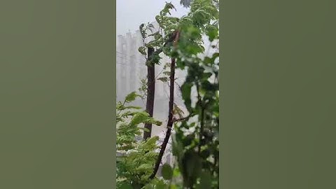 One plus 8 pro slow motion camera