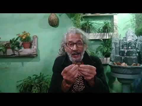 Vídeo: Yi Ching: Interpretação De Hexagramas