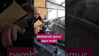 pembersih jamur kaca mobil
