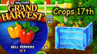SGH E317 ~ 321 = Harvesting Bell Peppers - 17th Crop section ends. (Solitaire Grand Harvest)