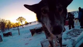 Aftermovie Norway, Tromsø | GoPro