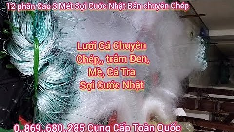 Lưới Cá Chuyên Chép - Chuyên Trắm - Chuyên Mè - Cá Tra Lưới Đánh Cá 3 Màn 12 phân Cao 3  mét 