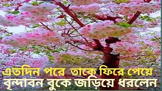 আনন্দপথ-৬৫০  এতদিন পরে তাকে ফিরে পেয়ে বৃন্দাবন বুকে জড়িয়ে ধরলেন।