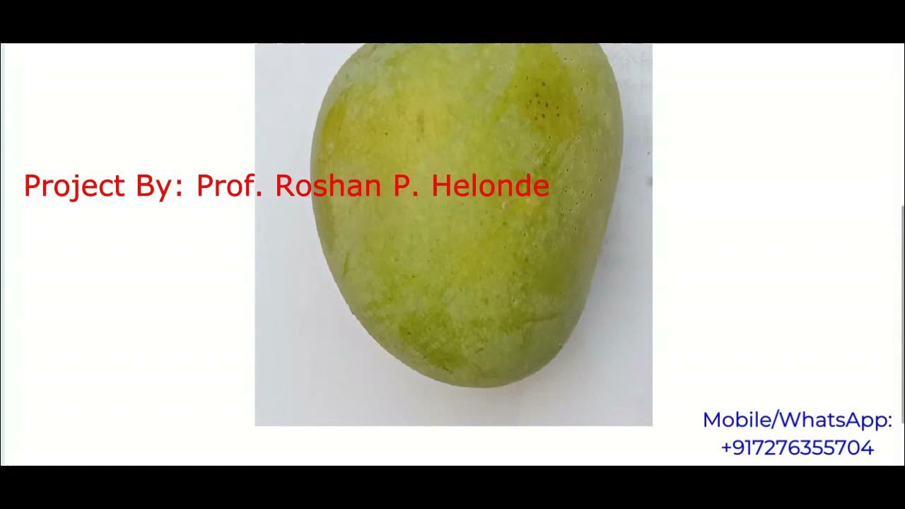 Mango Fruit Disease Detection Using Image Processing | With Source Code ...