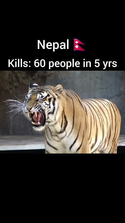 Tiger Kills of each country #viralvideo #youtubeshorts