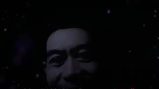 Meniti hutan cemara (kla project cover by NE Mustika)