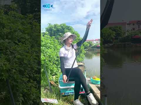 TEST PHÔI CẦN BẢN KỶ NIỆM LIMITED 4.5H CÙNG CẦM HUYỀN