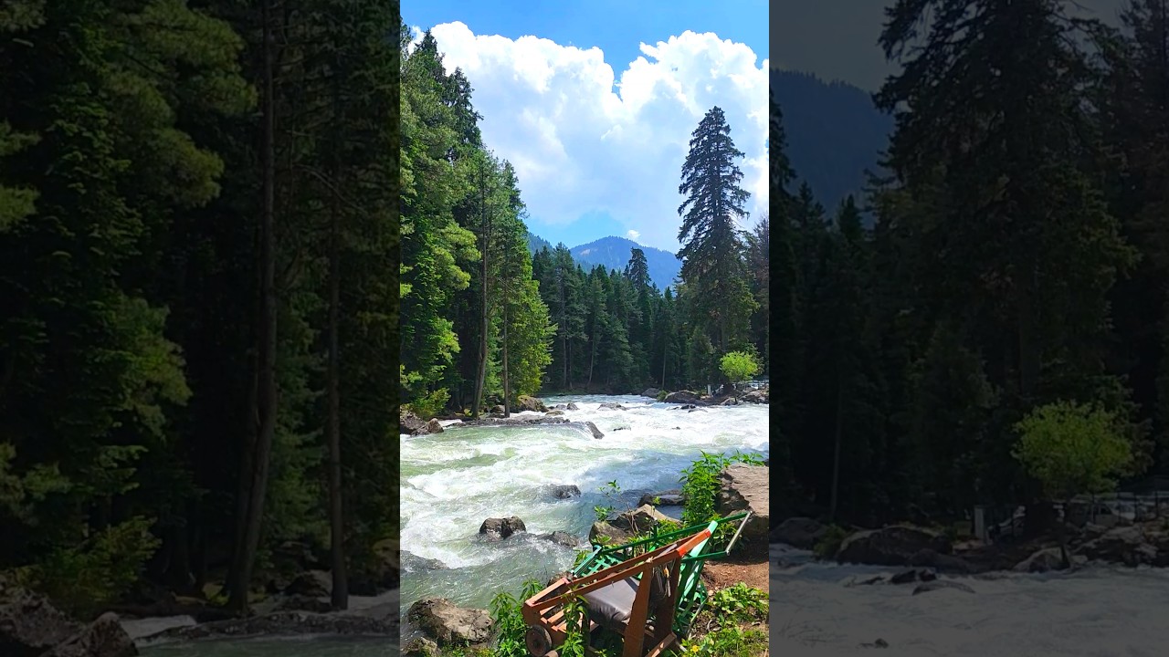 Incredible Beauty of Kashmir🌲🪻🌸 