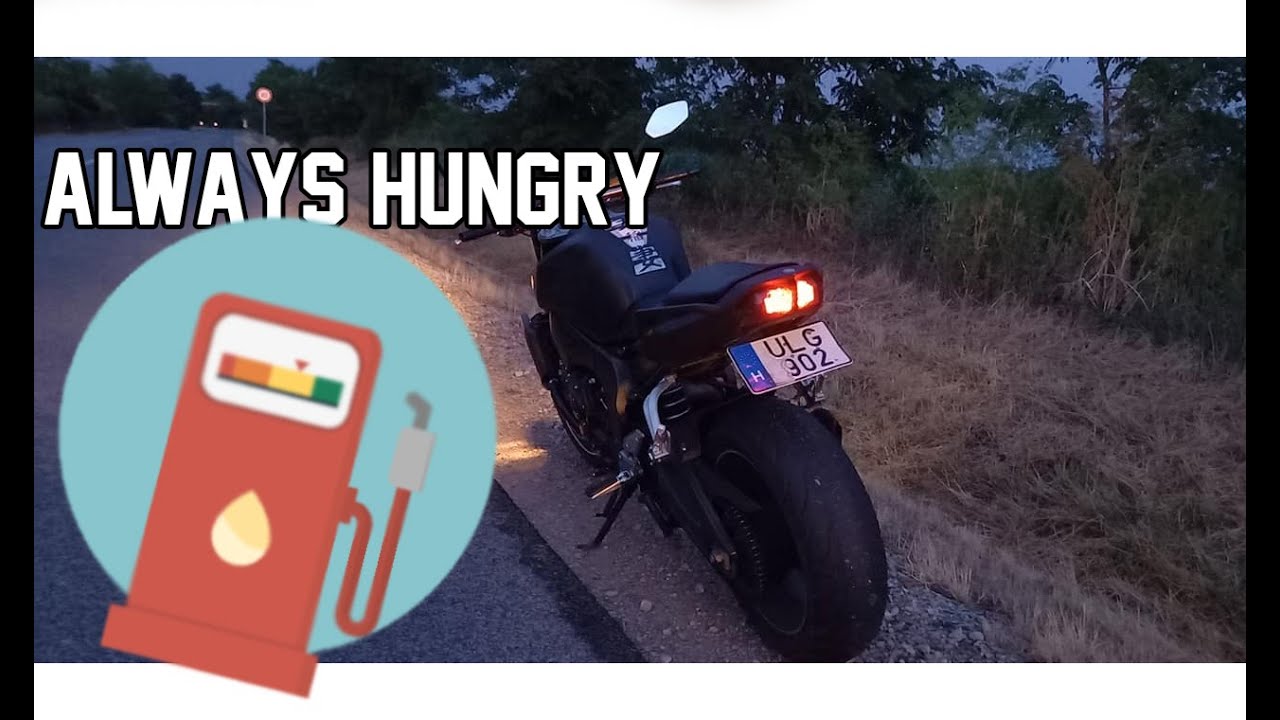 ALWAYS HUNGRY! | Yamaha FZ1N POV RIDE! | 2.7k60