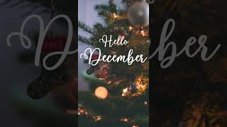 New Year Music Playlist  lofi  ambientmusic lofimusic newyearmusic happynewyear