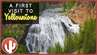 Discovering Yellowstone's Majestic Wonders: Seeking Solitude on Grand Loop Road | Wyoming