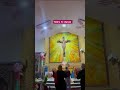 Hallelujah Hallelujah#indiachurch  #yeshukiawaaz#yeshua#romikamasih#catholicchurch #pakistanichurch