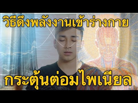 วีดีโอ: มีอะไรให้ทำบ้างในยัลตา?