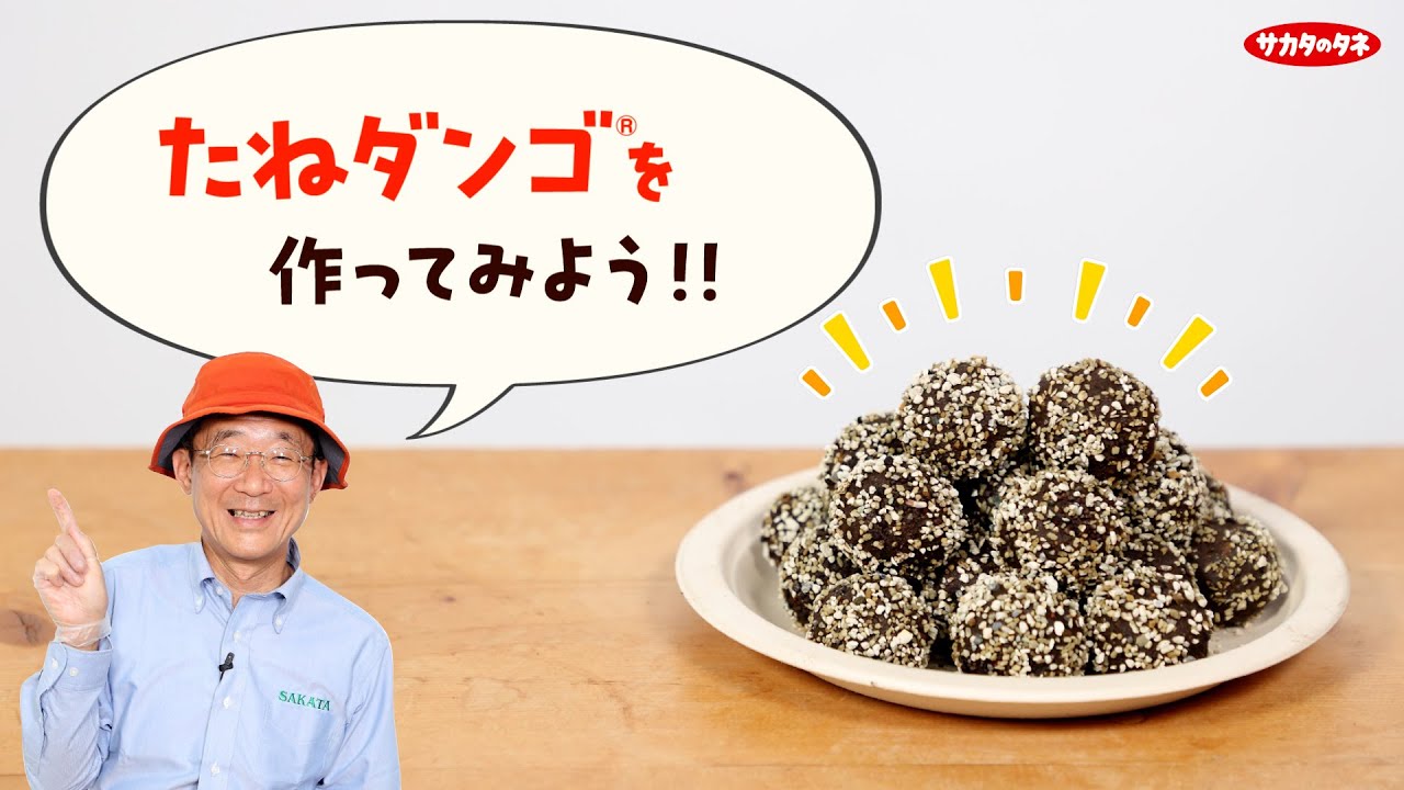 Let's Make Seed Dango® - YouTube
