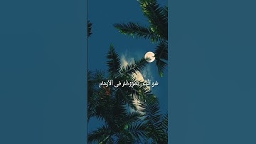 راحه نفسيه😴🎧🕊️أجمل حالات واتس اب قرآن كريم بصوت جميل جدا تلاوه خاشعه 𝙌𝙪𝙧𝙖𝙣 𝙎𝙩𝙖𝙩𝙪𝙨❤️