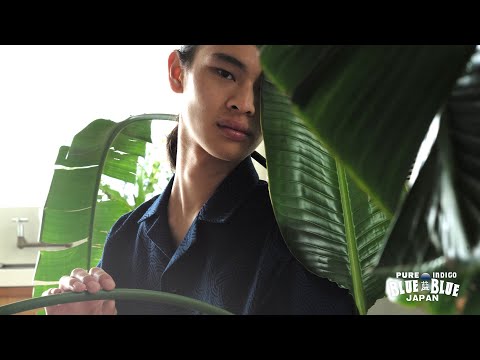 聖林公司 ハリウッドランチマーケット - YouTube