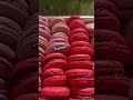 Macaron Team rose ou team rouge