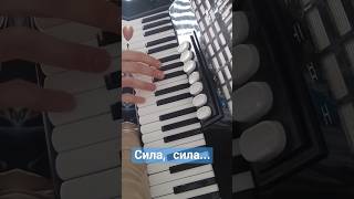 Грех победить, желаешь лы ты?.. #music #подпишись #trending #рек #acordeon #top #shorts #trend