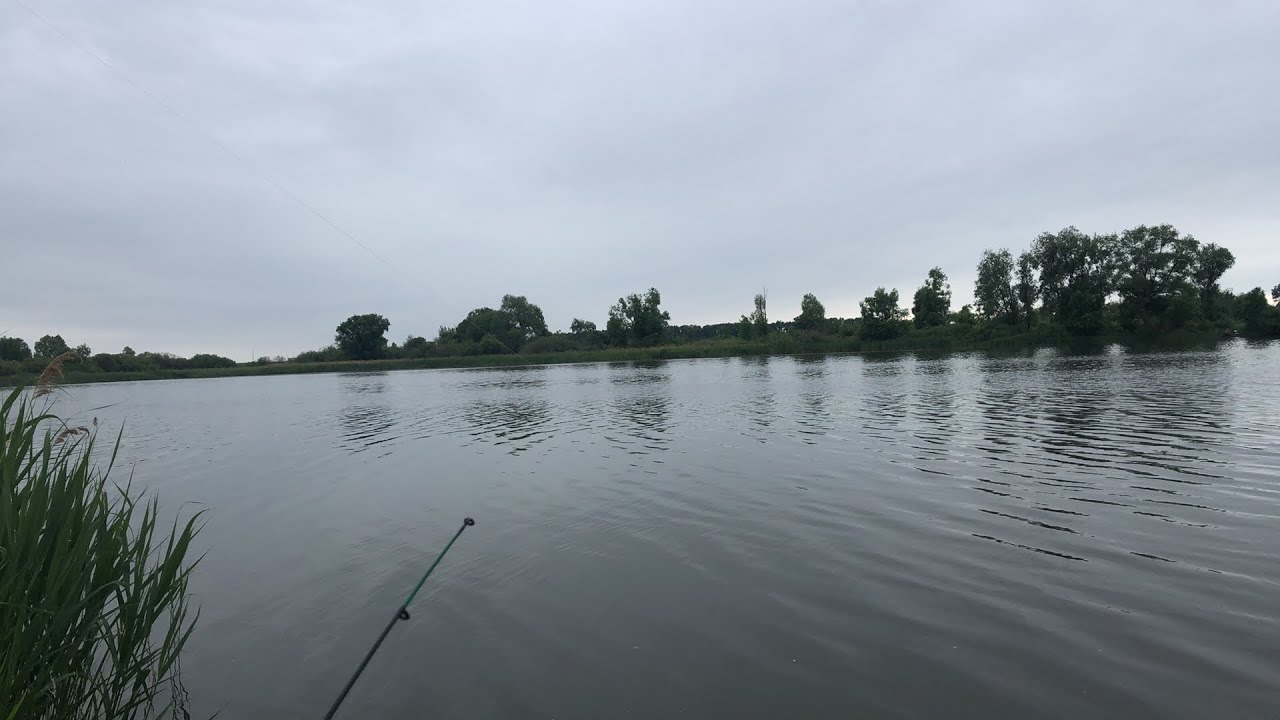 Река ельчик в ельце