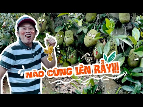 Nào cùng lên rẫy | Bốn Ròm Channel | Hoài Linh