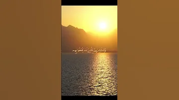 ف ر ح ين ب م ا آت اه م الل ه م ن ف ض ل ه آل عمران 170 قرآن 