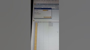 Short key to view Purchase Order in SAP.