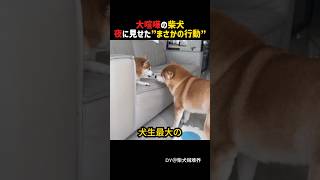 犬生最大のケンカの決着は!?