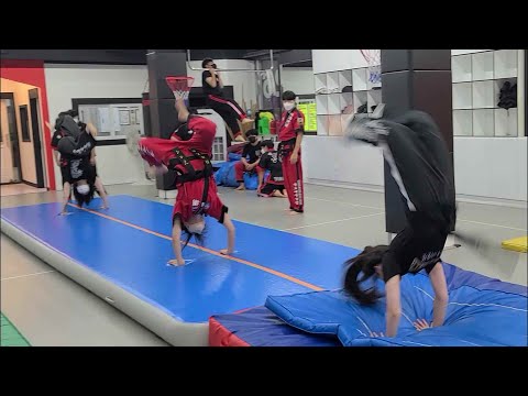 Happy Gymnastics Korean <strong>Martial</strong> Arts