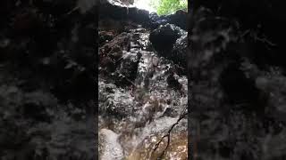 Bursanın Güzellikleri