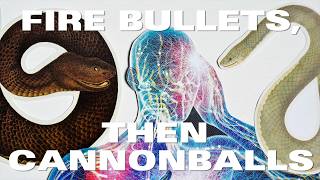 Fire Bullets, Then Cannonballs (A Powerful Decision-Making Framework)