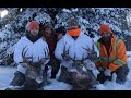 Saskatchewan Whitetail Hunt 2017