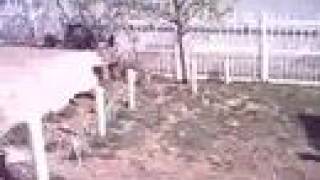 My Friend Attempting To Ollie A Childs Play House