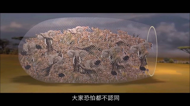 畜牧业的阴谋 精华版 | 李奥纳多监制 COWSPIRACY Short Version - 天天要闻