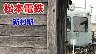 【松本電鉄】新村駅でアオガエルを見てから電車に乗ります