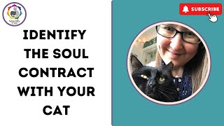 What is my soul contract with my cat? by Naturally Cats - Help for anxious cats & humans 66 views 3 days ago 14 minutes, 32 seconds