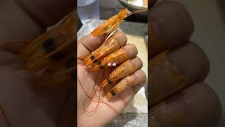 La Mode Va Trop Loin