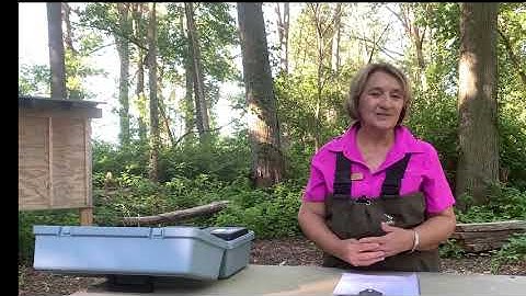 Introduction to Stream Monitoring