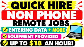 Non-Phone Remote Jobs Explained: Data Entry, Equipment Provided & More