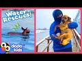 Rescuers Brave Deep Water To Save Trapped Animals | Dodo Kids | Rescued!