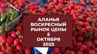 ЦЕНЫ НА ПРОДУКТЫ ПИТАНИЯ В ТУРЦИИ АЛАНЬЯ И МОИ ПОКУПКИ НА РЫНКЕ 5 ОКТЯБРЯ 2025 РОМКА РОКЕР ТУРЦИЯ