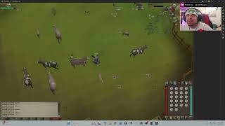 Osrs nEWBY f2P pROGRESS.